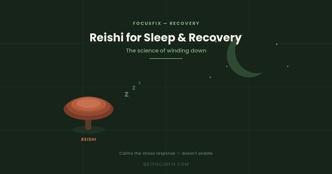 Reishi for Sleep & Recovery: The Science of Winding Down