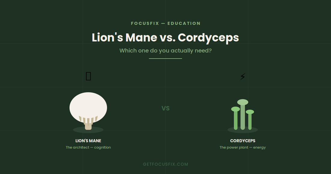 Lion's Mane vs. Cordyceps: Which Mushroom Do You Actually Need?