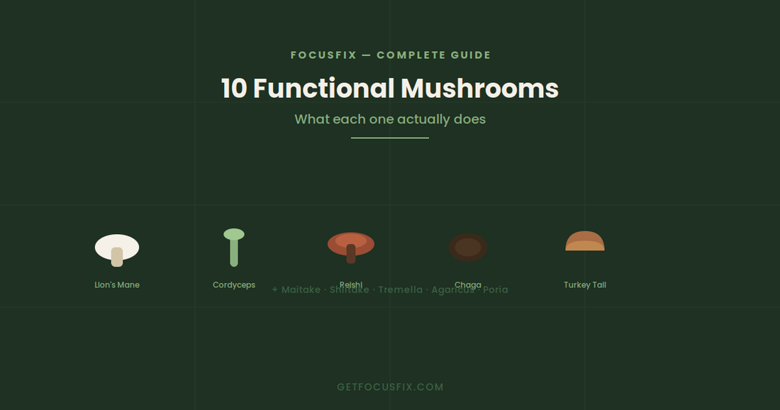 The Complete Guide to Functional Mushrooms: 10 Types and What They Actually Do