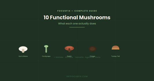 The Complete Guide to Functional Mushrooms: 10 Types and What They Actually Do