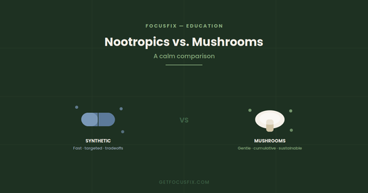 Nootropics vs. Functional Mushrooms: A Calm Comparison