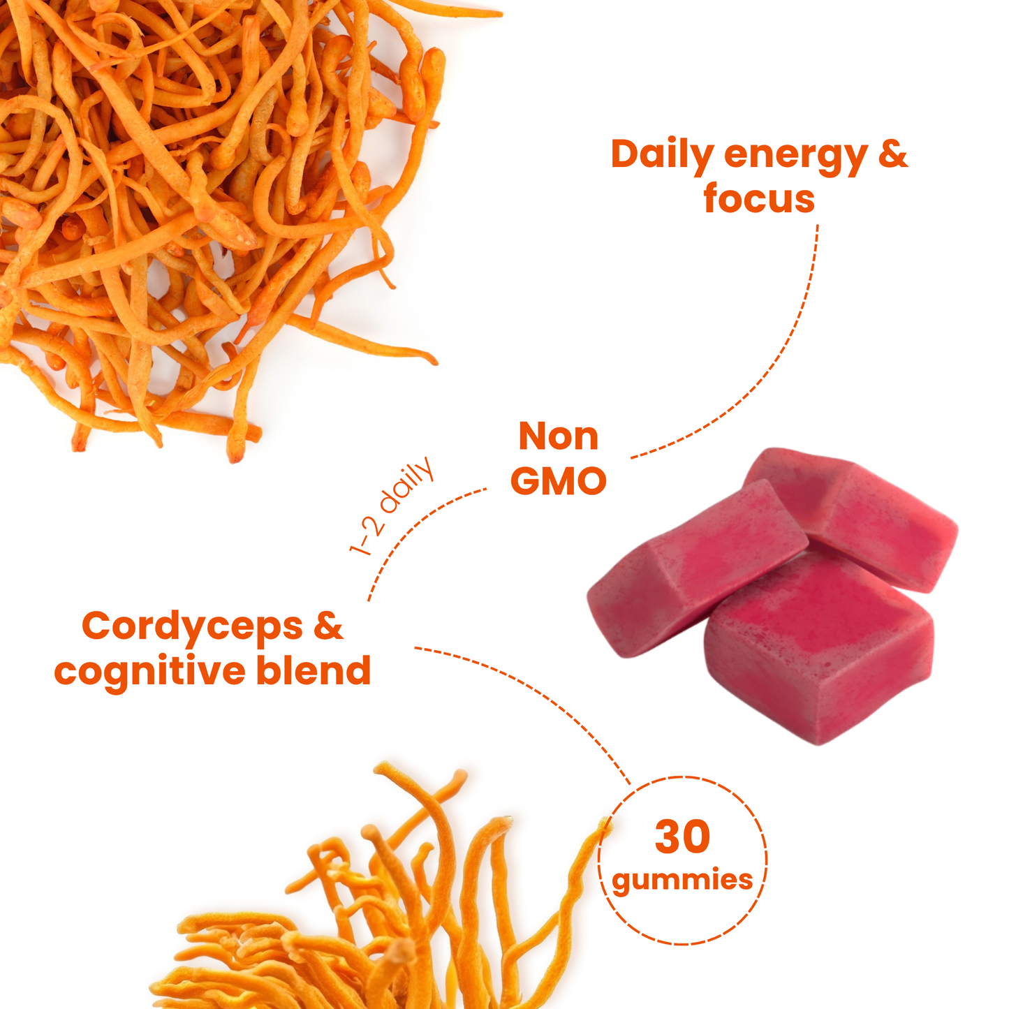 FocusRise – Advanced Brain & Energy Support Gummies