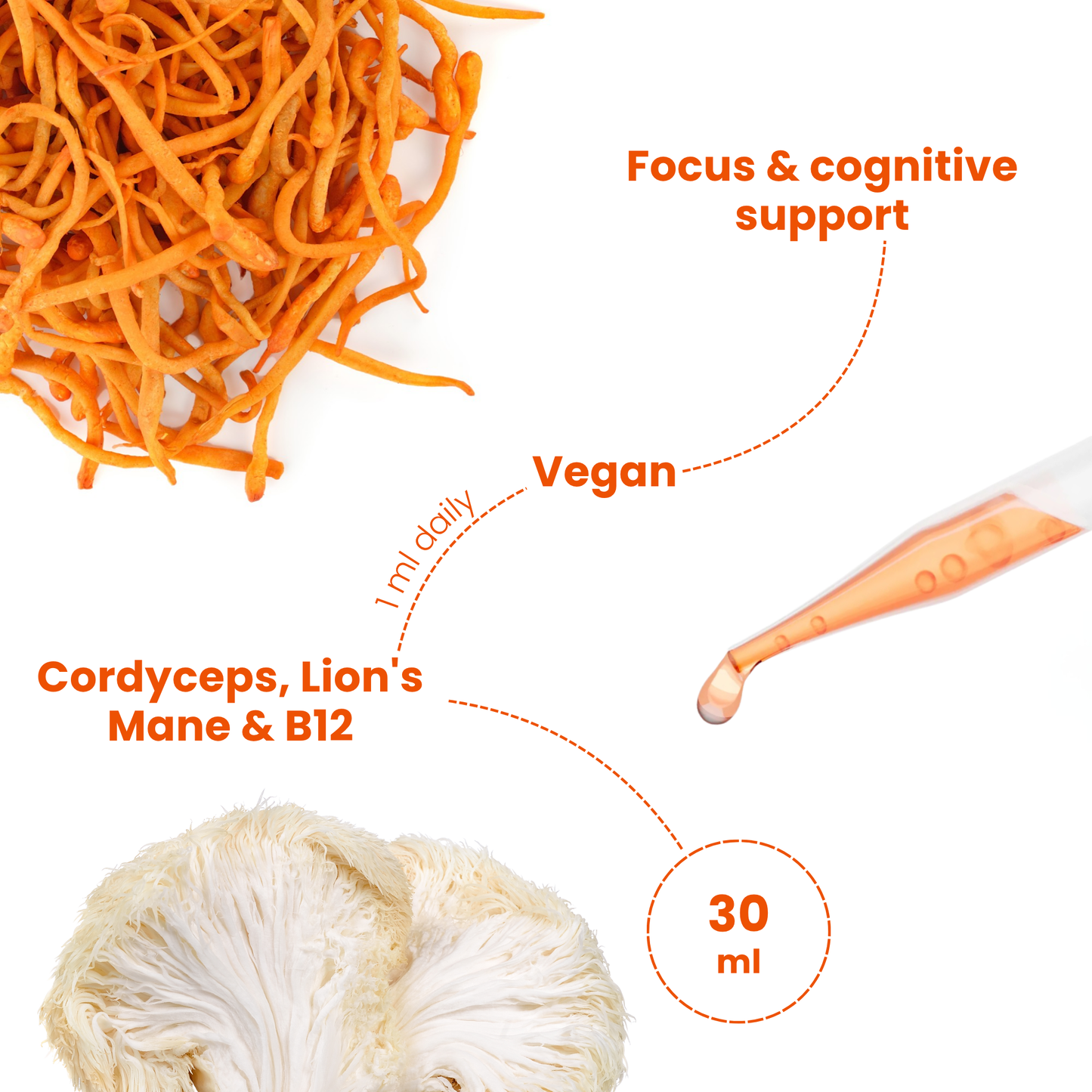 FocusDrops - Liquid Nootropic & Mushroom Blend