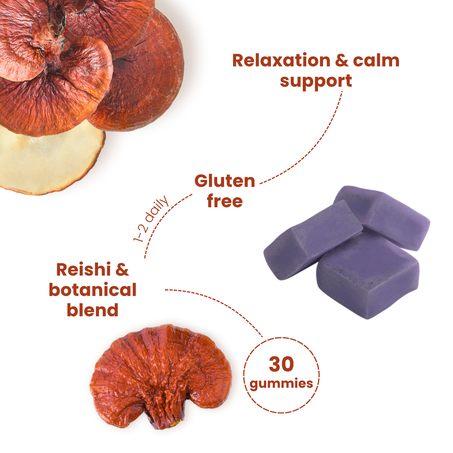 FocusRest - Restful Mind & Relaxation Gummies