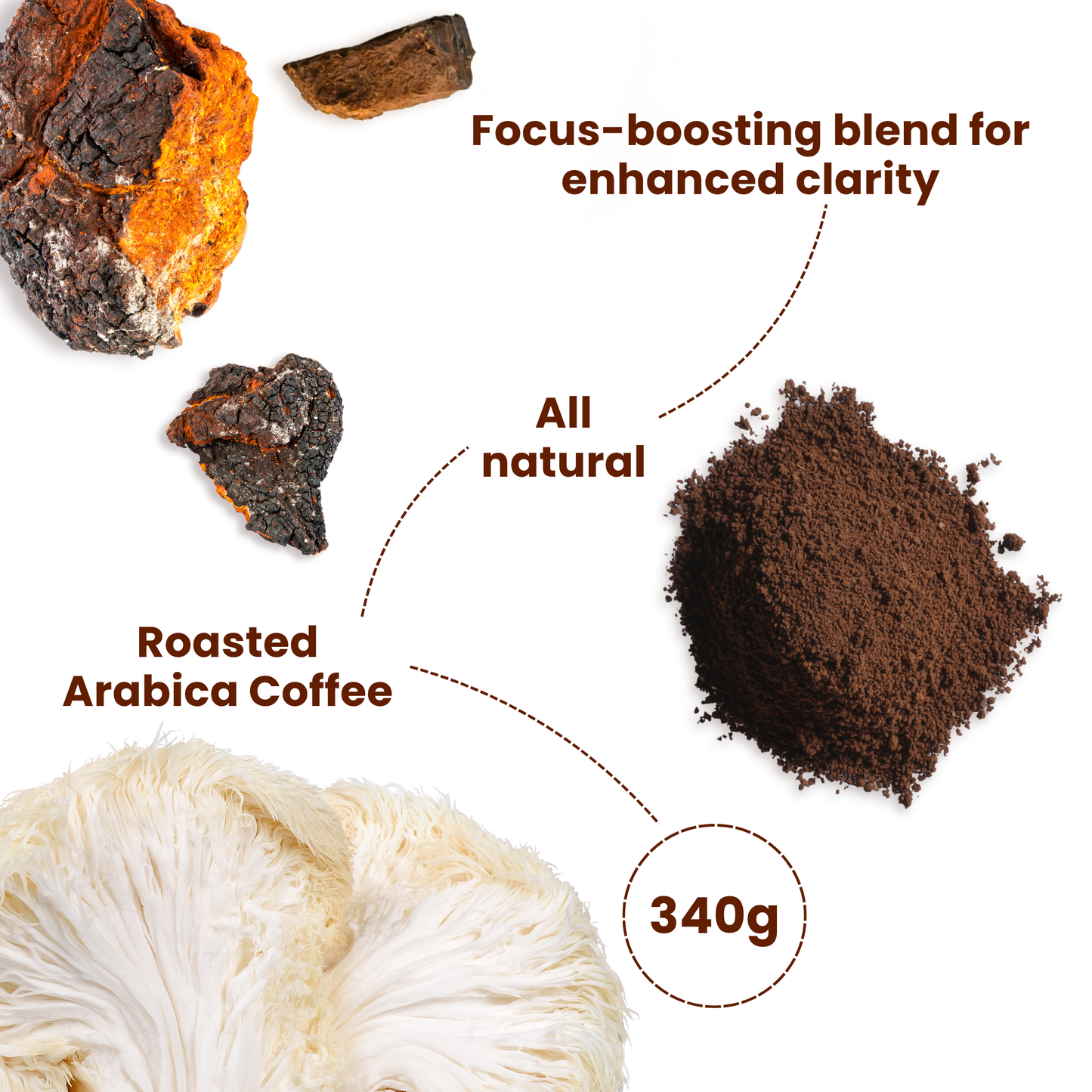 FocusBrew - Vitality Mushroom Coffee